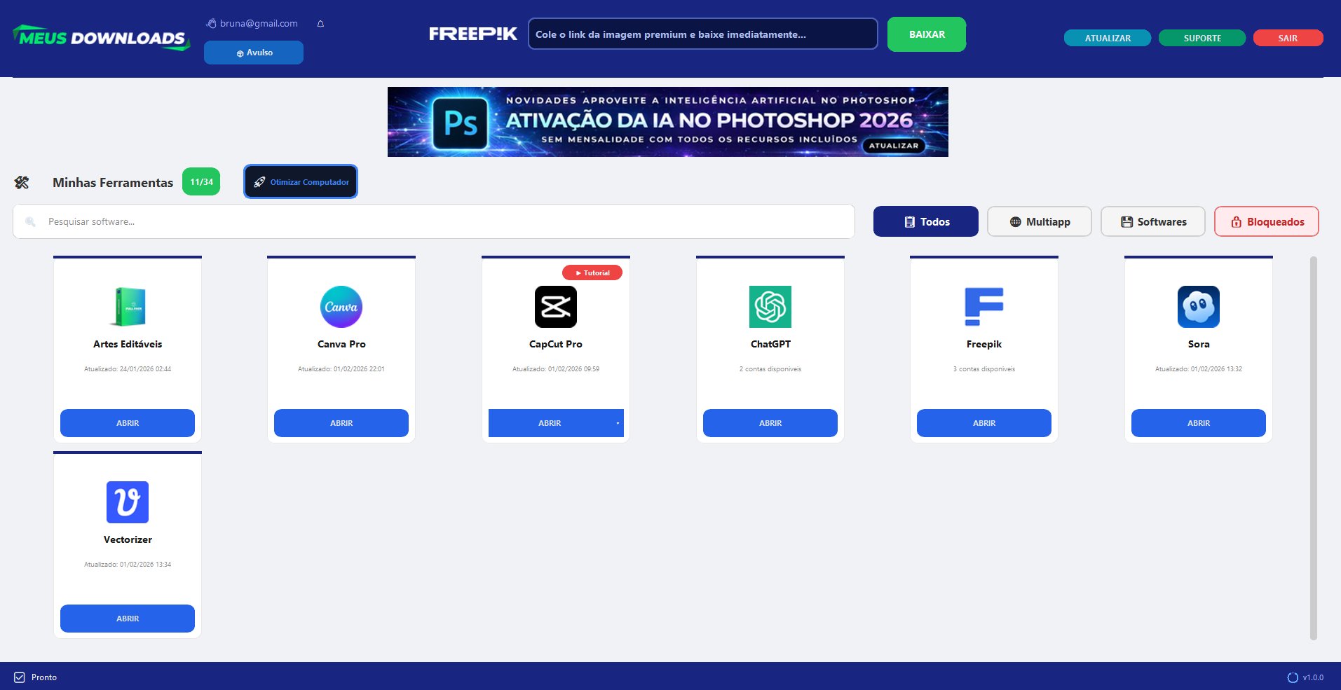 Meus Downloads - Painel